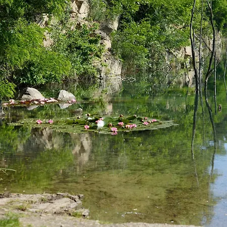 Mloci Udoli • Podyji *